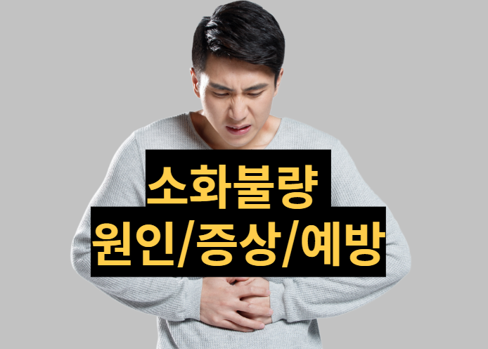  [건강정보] 소화불량, 속이 메스껍고 더부룩 할 때 의심해보세요.