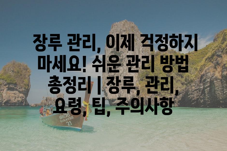 샘플 (80)