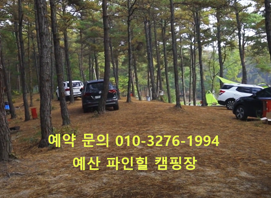  예산 파인힐 캠핑장 이용후기 (feat. 엄청 조용한 캠핑장)