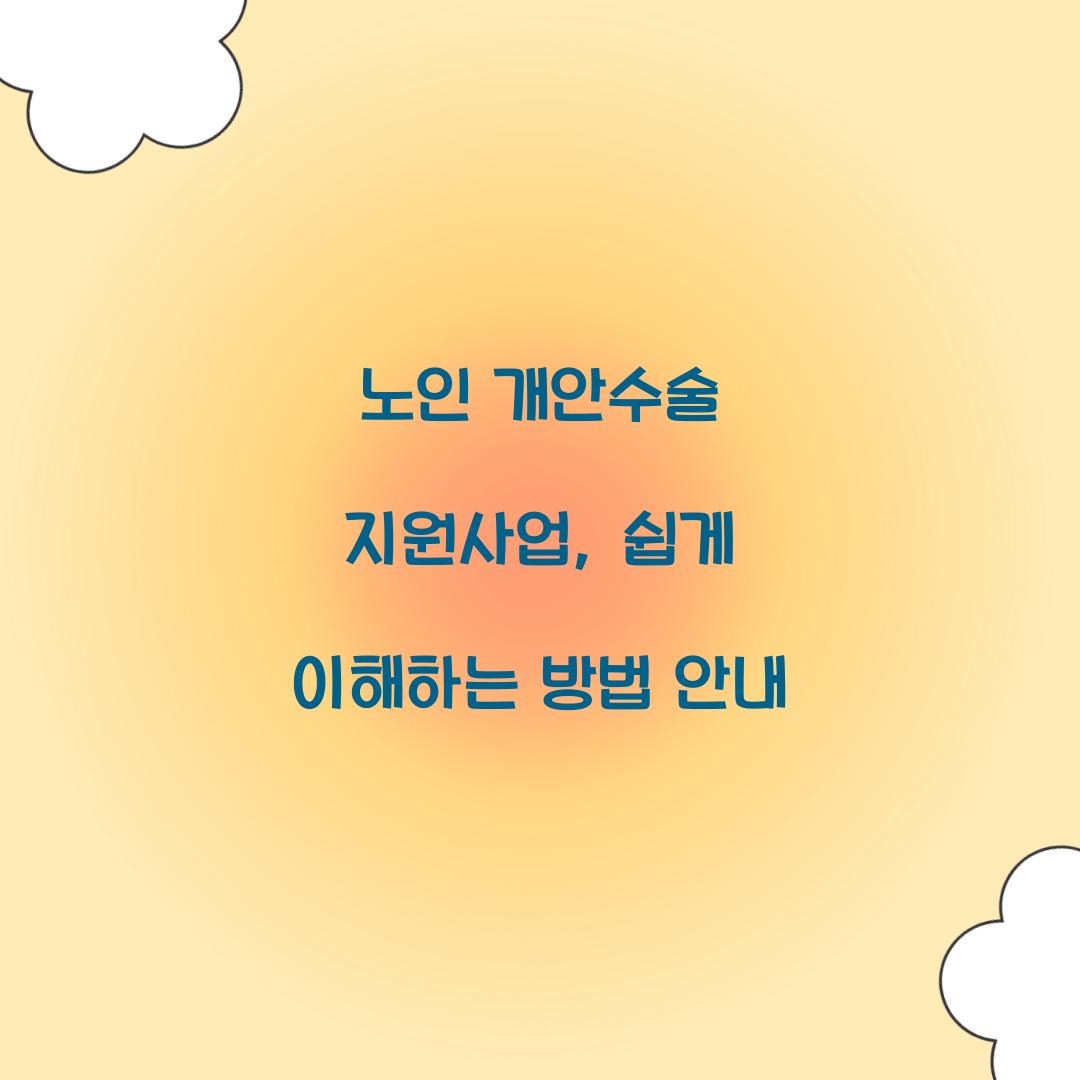 노인 개안수술 지원사업