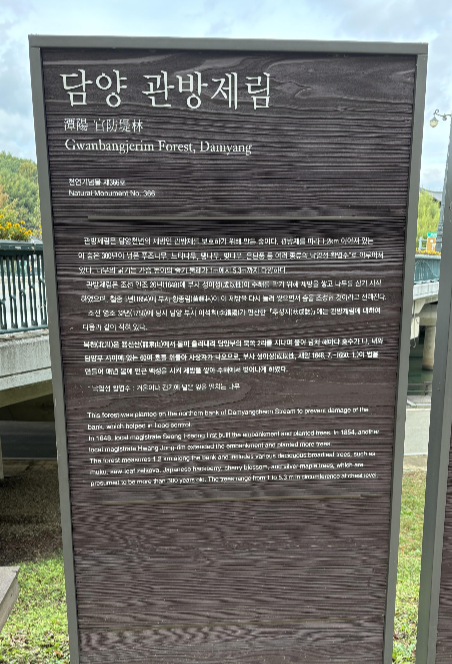 담양 관방제림