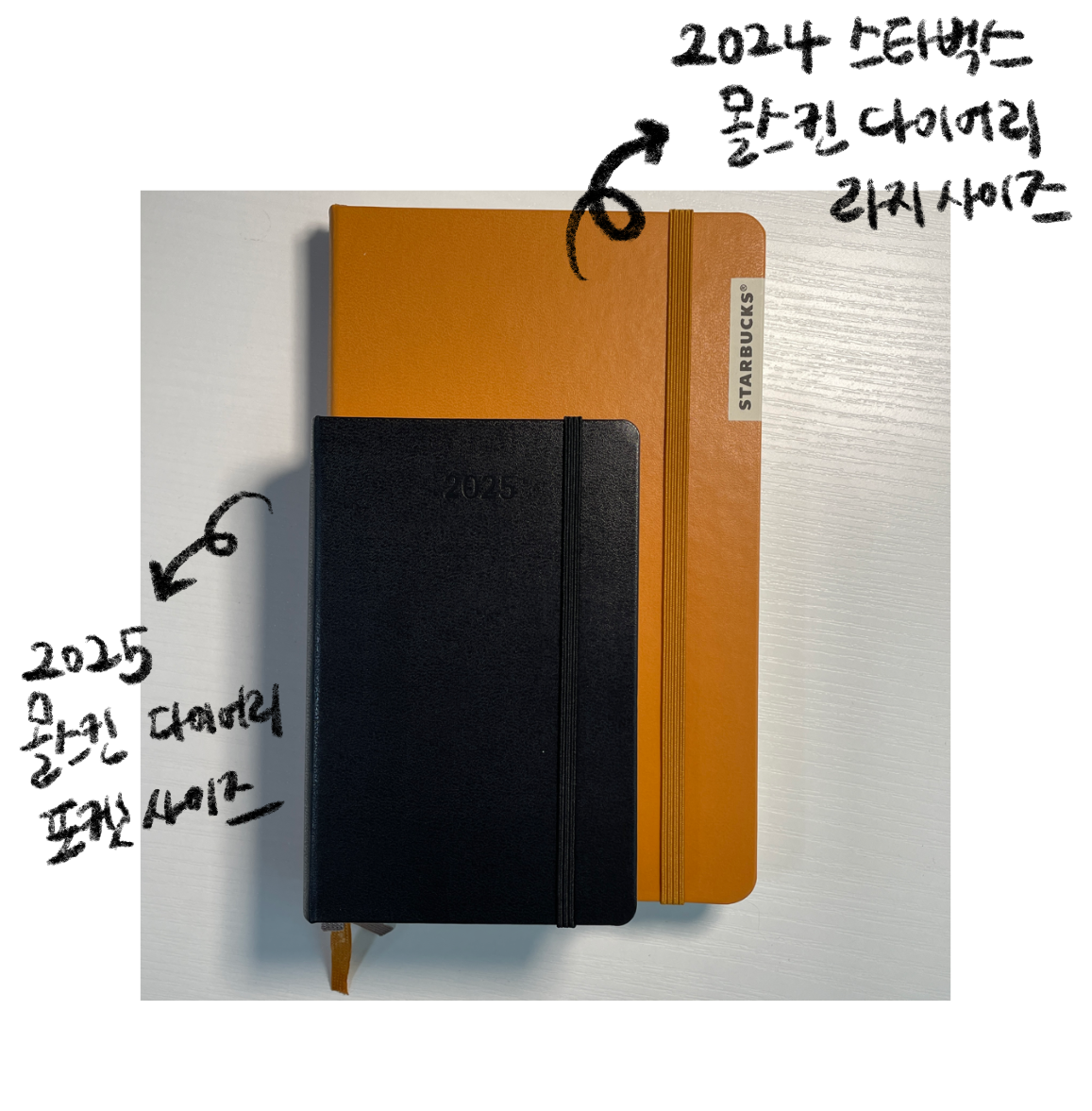2025 몰스킨 데일리 포켓 사이즈 하드커버