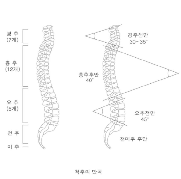 사진설명