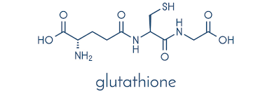 글루타치온 