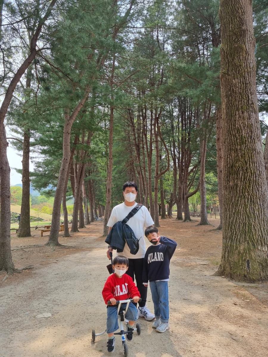 남이섬 배시간표 남이섬 배시간표, 할인 방법, 64