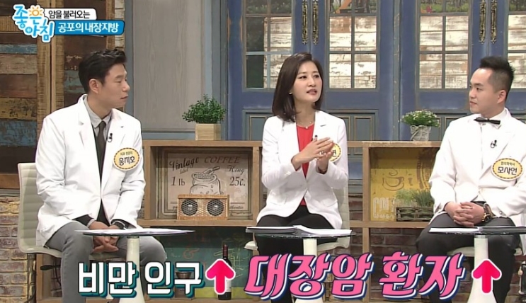  내장비만 제거 특효약 팽이버섯차 효능과 에어프라이어로 직접 만들기