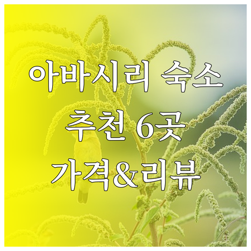 아바시리 여행 숙소 고민 끝! 6곳의
