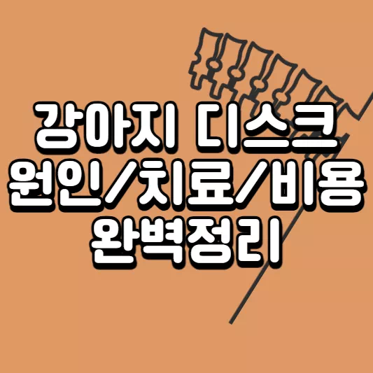 강아지-디스크
반려견-디스크
개-디스크
강아지-디스크-증상
강아지-디스크-수술
개-디스크-치료
강아지-디스크-치료
강아지-디스크-증상
디스크-원인