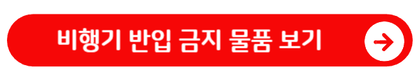 비행기 반입 금지 물품 보기