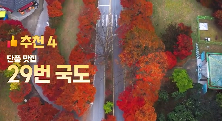 드라이브코스 추천, 가을 드라이브 TOP4 - 국토부 추천!