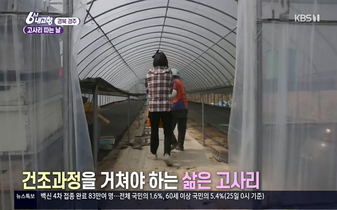 6시 내고향.E7518.220426p.H264-F1RST.mp4_20220504_190811.851.jpg