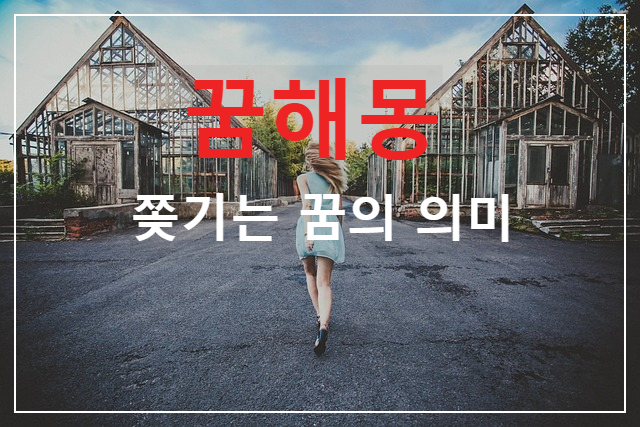  쫓기는 꿈의 의미를 알고 싶으신가요?