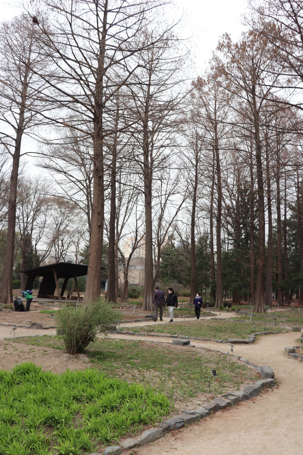 홍릉시험림(홍릉수목원) #페이지 토.일요일서울가볼만한곳 43