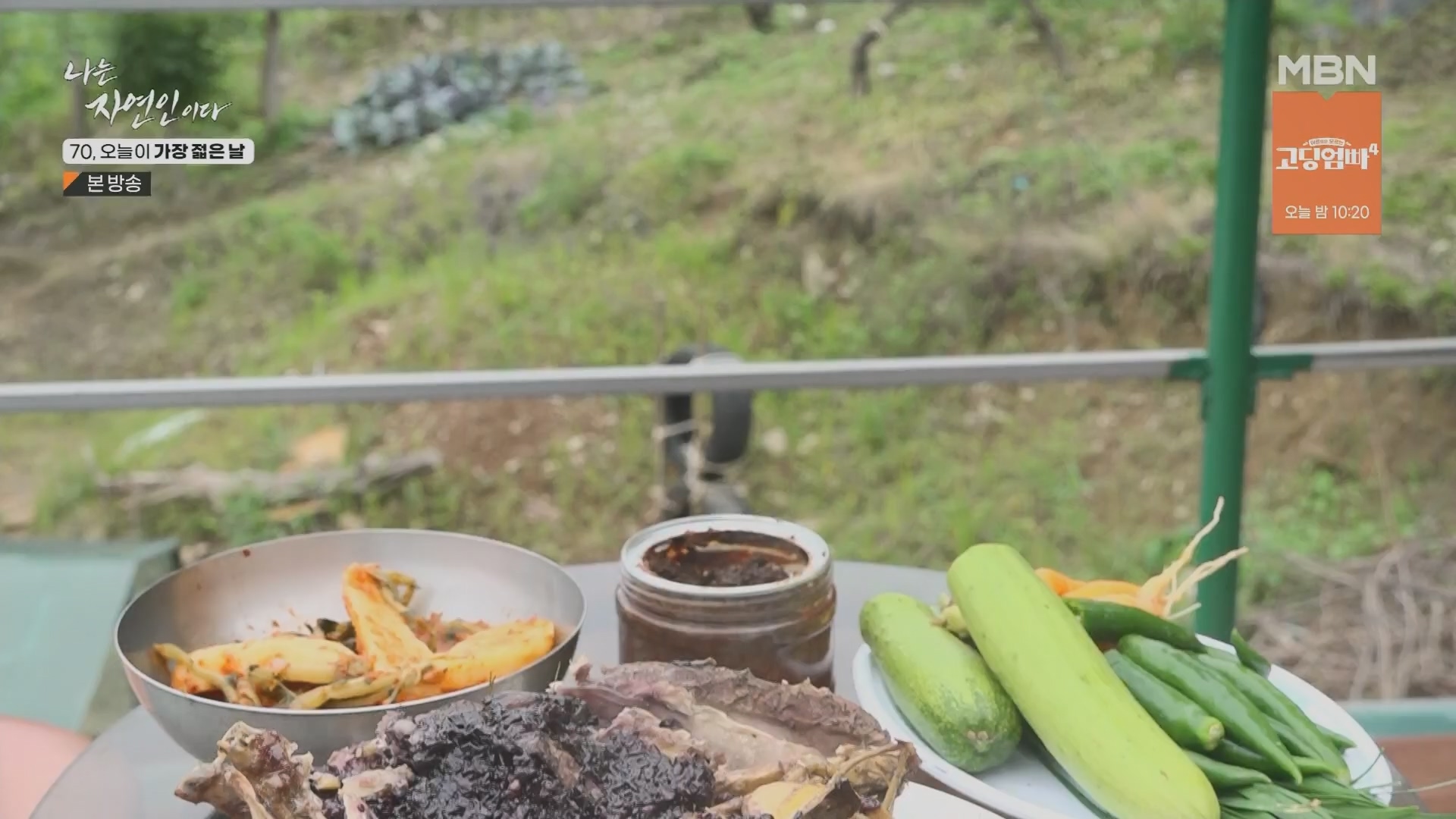 나는 자연인이다.E565.230802p.H264-F1RST.mp4_20230803_203400.480.jpg