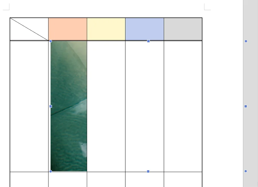 표 안에 그림이 크게 들어간 모습