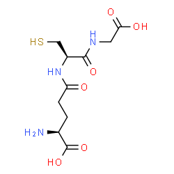 글루타치온 분자구조