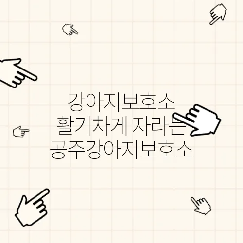 강아지보호소 활기차게 자라는 공주강아지보호소