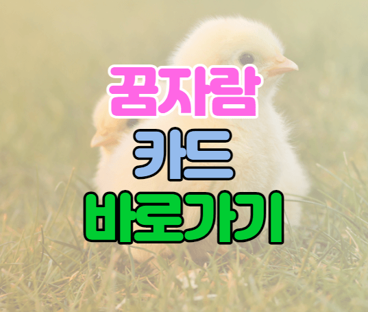 꿈자람카드 바로가기