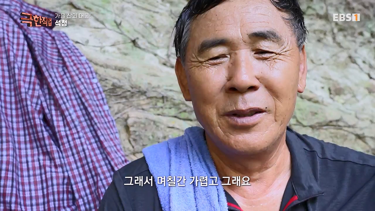 TV - 전 국민의 평생학교 EBS가을 산의 대물! 석청과 버섯.mp4_20230916_171651.906.jpg
