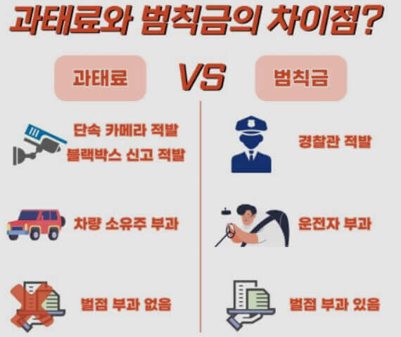 초보 운전자들이 헷갈릴 수 있는 범칙금과 과태료의 차이