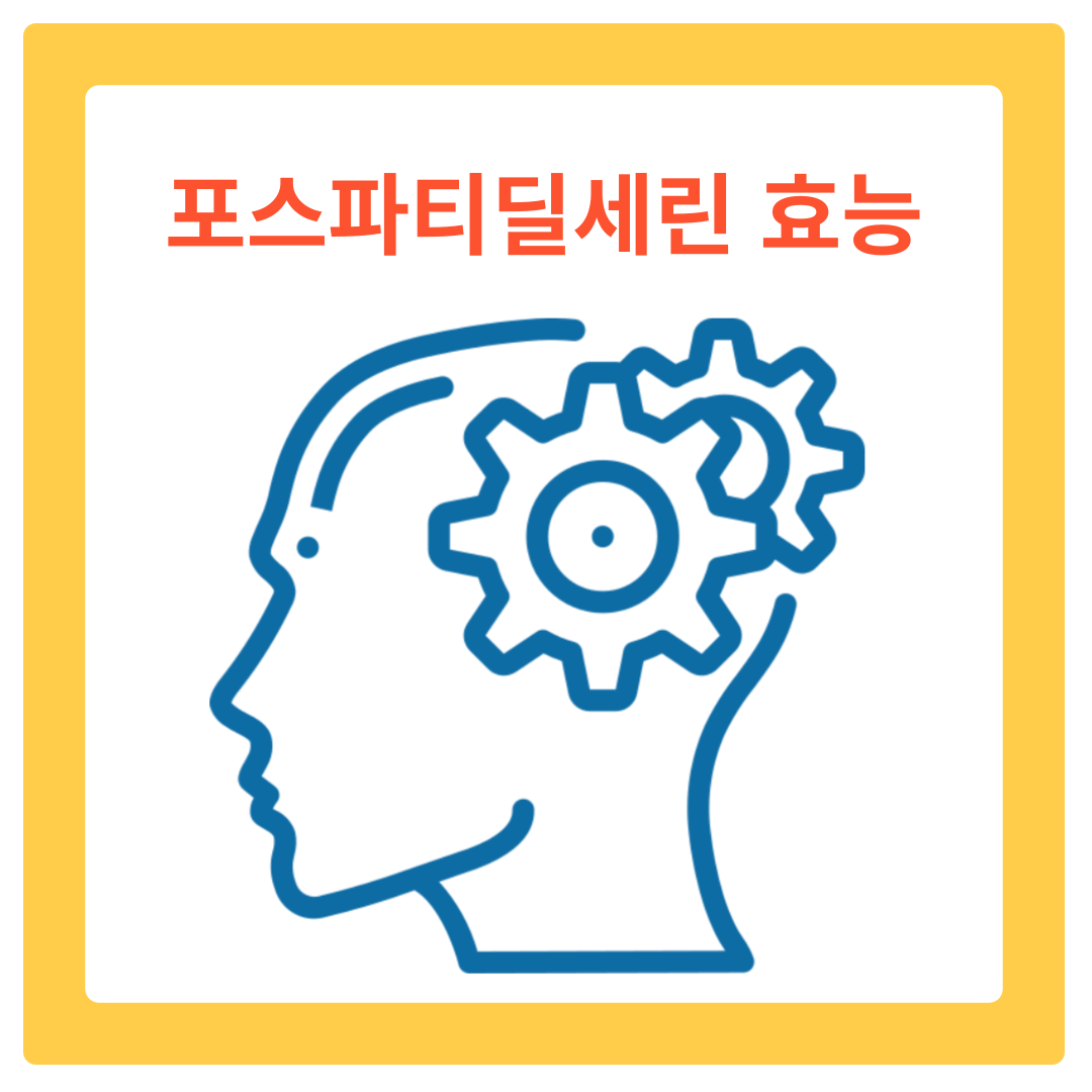  포스파티딜세린 효능과 포스타디딜 세린의 모든 것