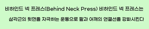  4. 비하인드 넥 프레스(Behind Neck Press) 비하인드 넥 프레스는 삼각근의 뒷면을 자극하는 운동으로 팔과 어깨의 연결선을 강화시킨다.