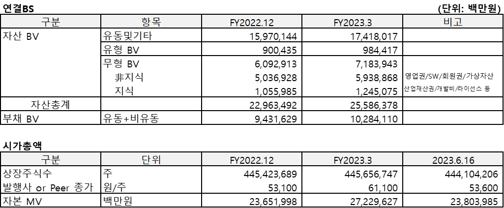 카카오(2023.3)의 연결BS 및 시가총액을 정리한 표