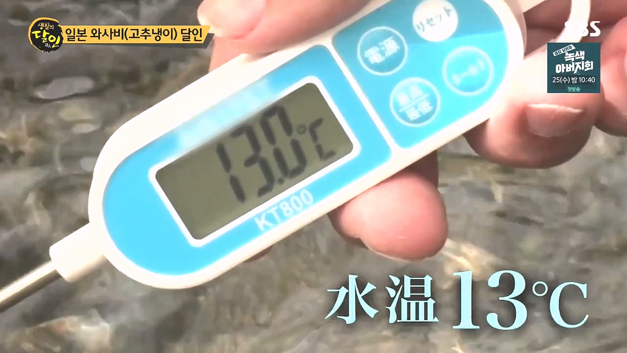 생활의 달인.E908.231017p-NEXT.mp4_20231017_202213.278.jpg