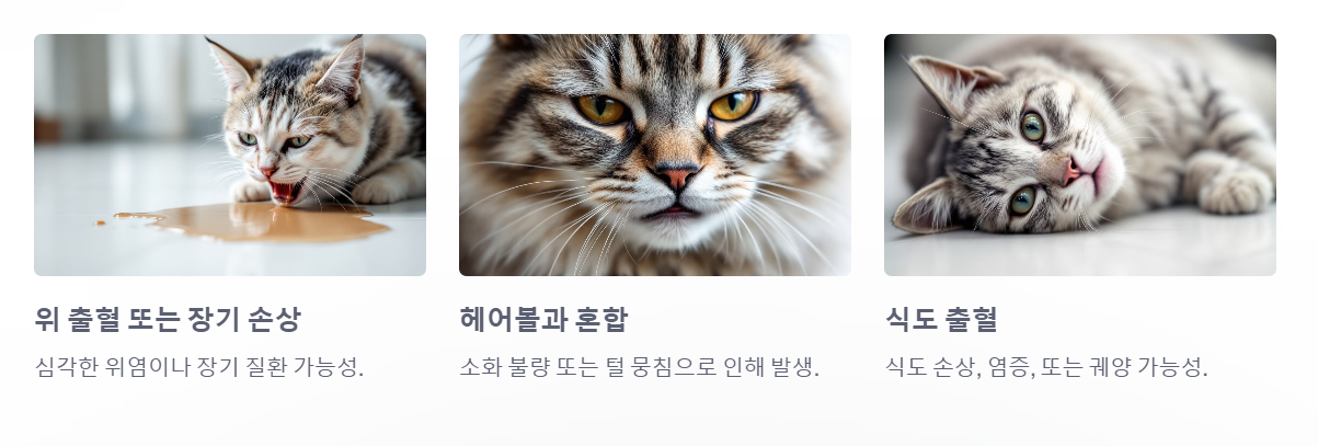 고양이 토 색깔표 정리, 색깔별 원인과 대처법 한눈에