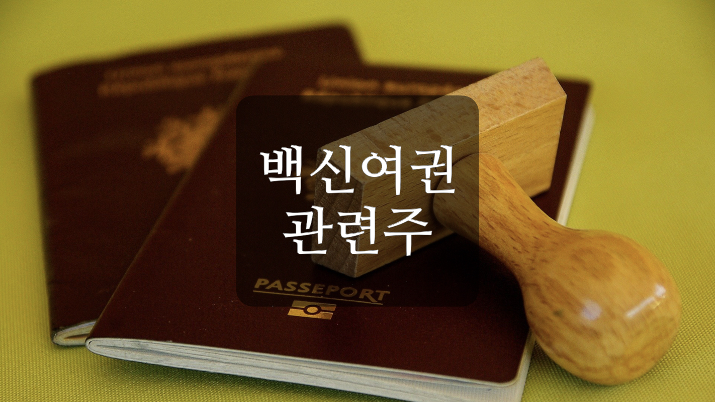  디지털 백신여권 관련주+