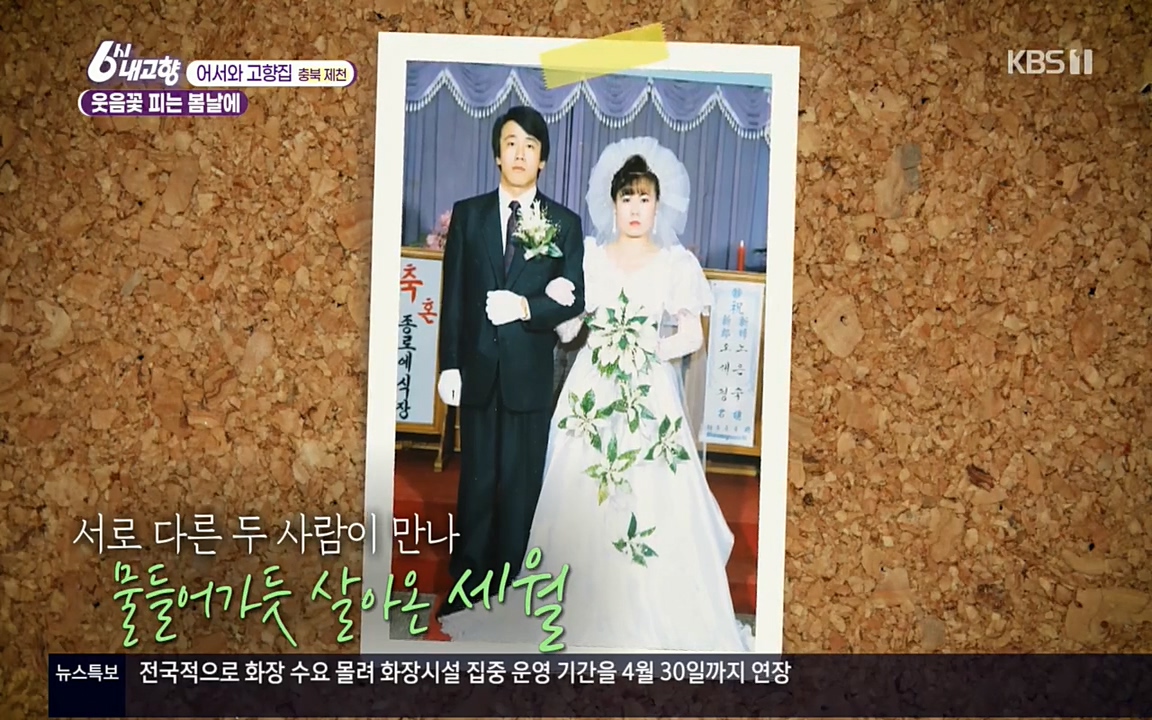 6시 내고향.E7518.220426p.H264-F1RST.mp4_20220504_191023.659.jpg