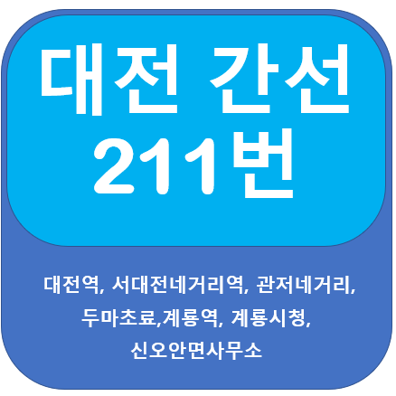  대전 211번 버스 노선정보 안내