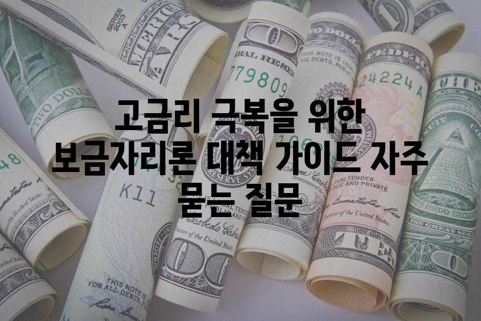 ['고금리 극복을 위한 보금자리론 대책 가이드']