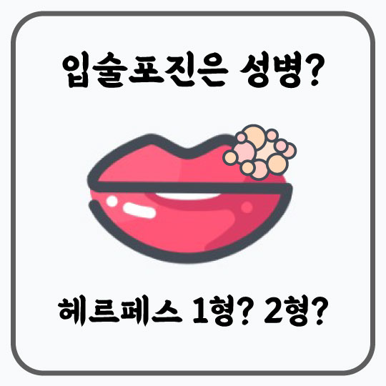  입술포진은 성병? 헤르페스 1형,2형의 증상과 원인, 예방법 및 추천 연고