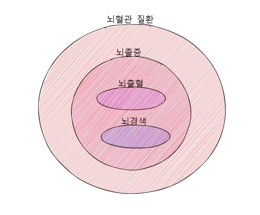  뇌혈관 질환 (뇌졸증;중풍, 뇌출혈, 뇌경색)