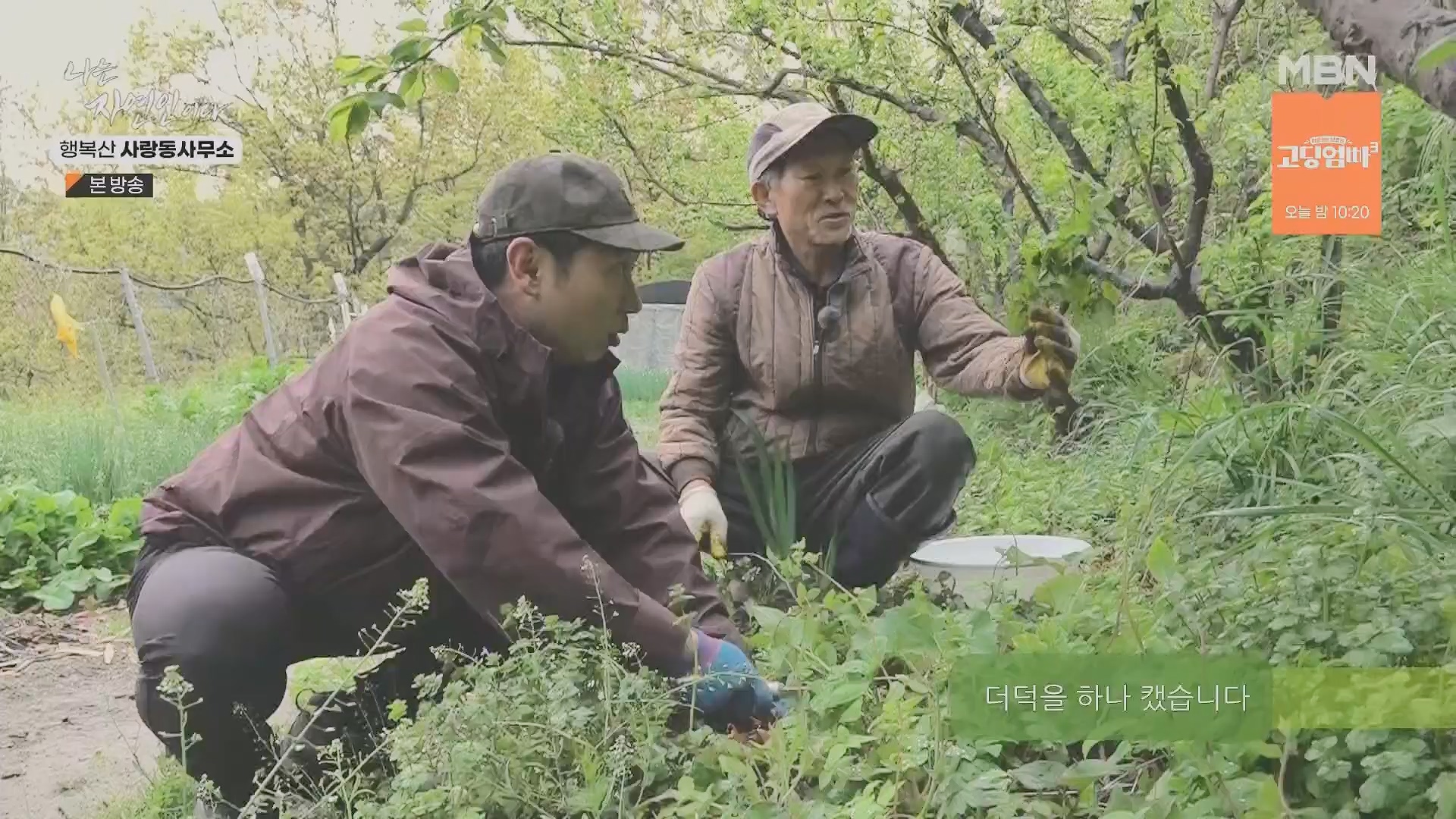 나는 자연인이다.E552.230503p.H264-F1RST.mp4_20230504_200315.827.jpg