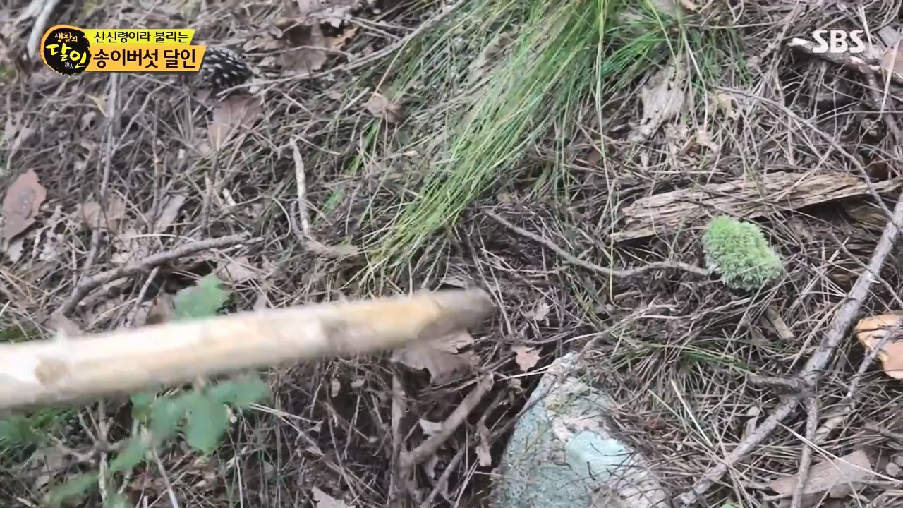 생활의 달인.E907.231010p-NEXT.mp4_20231010_202743.663.jpg