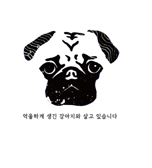 김예 이미지