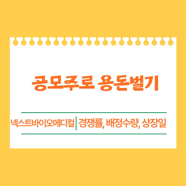 2024 공모주 넥스트바이오메디컬 최종결과