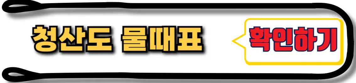 청산도 물때표