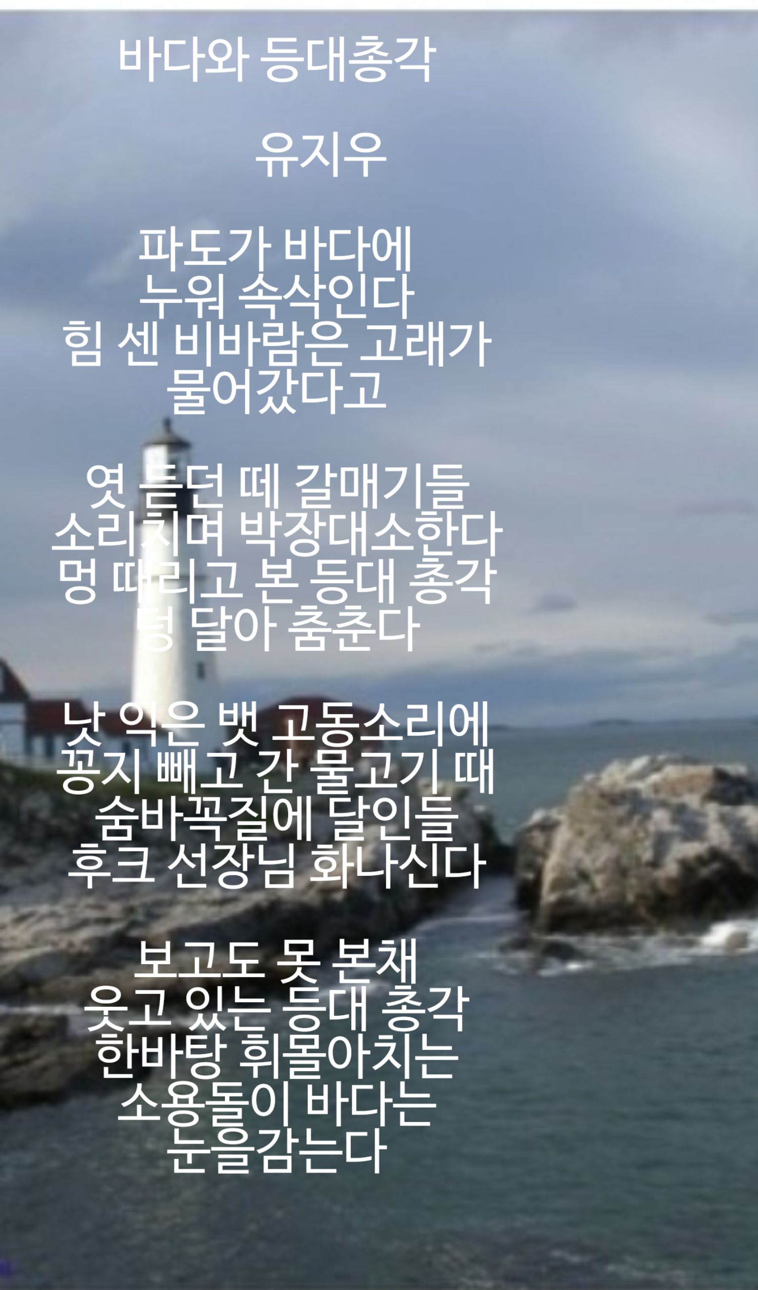 총각갈매기 이미지