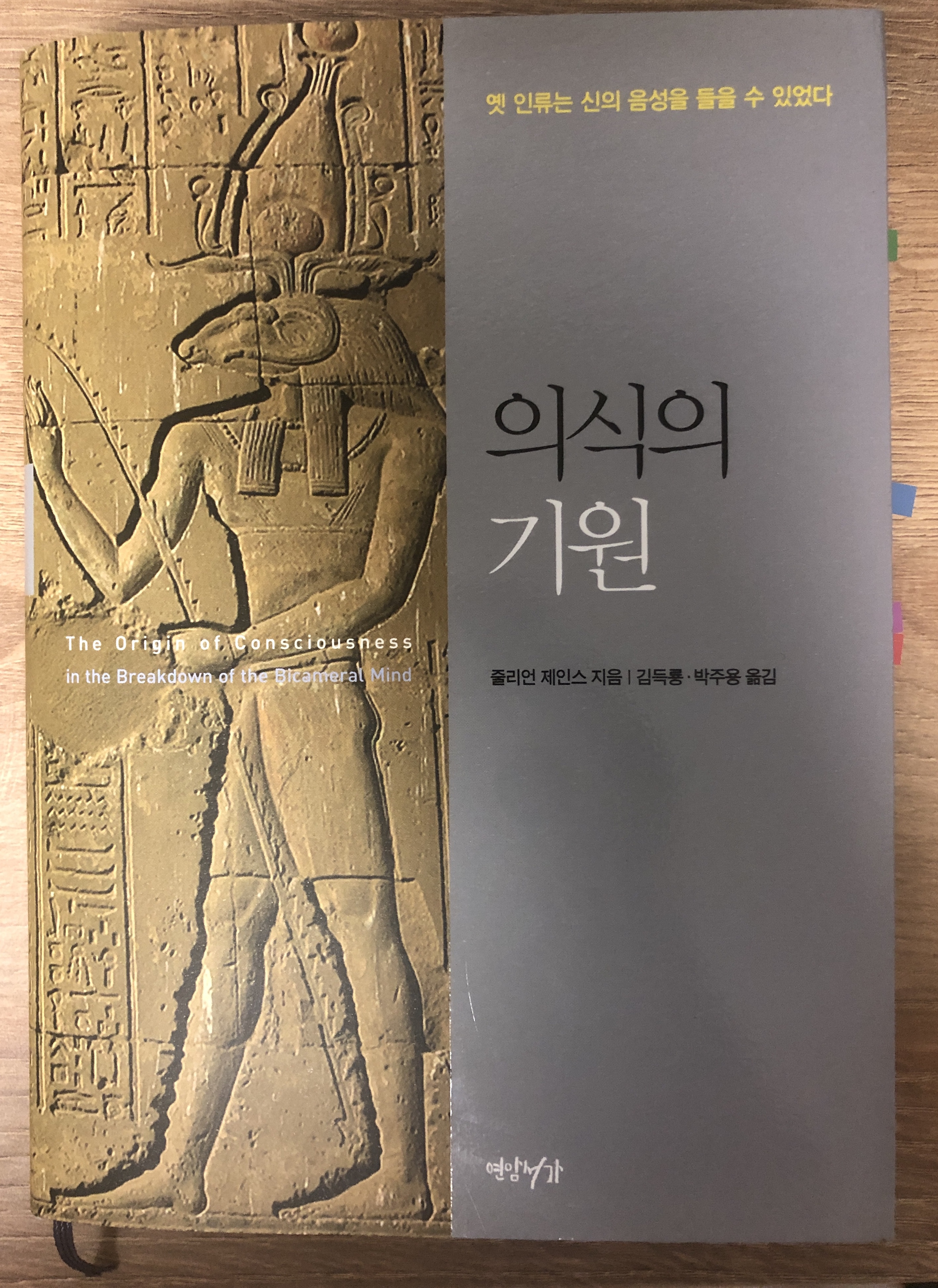  의식의 기원 - 인류 정신의 뿌리를 찾아서