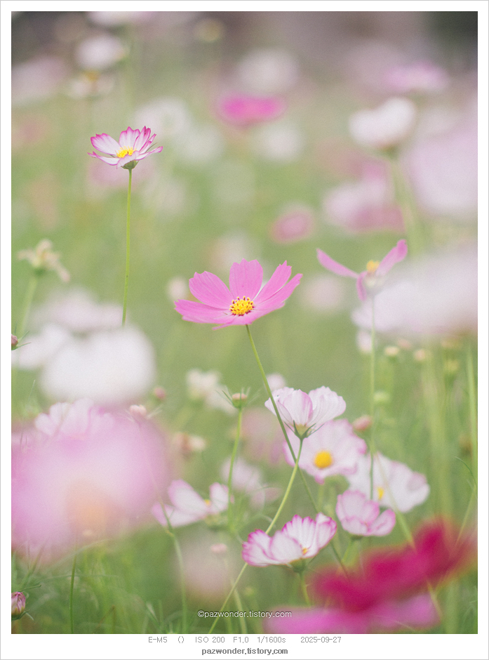 송현공원 이미지