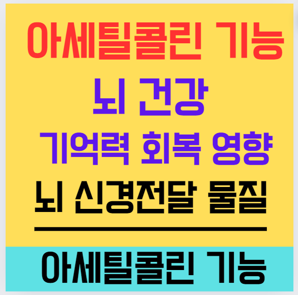 아세틸콜린 기능 뇌 건강 기억력 회복 영향 뇌 신경전달 물질