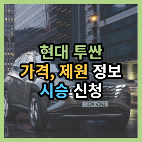 현대 투싼