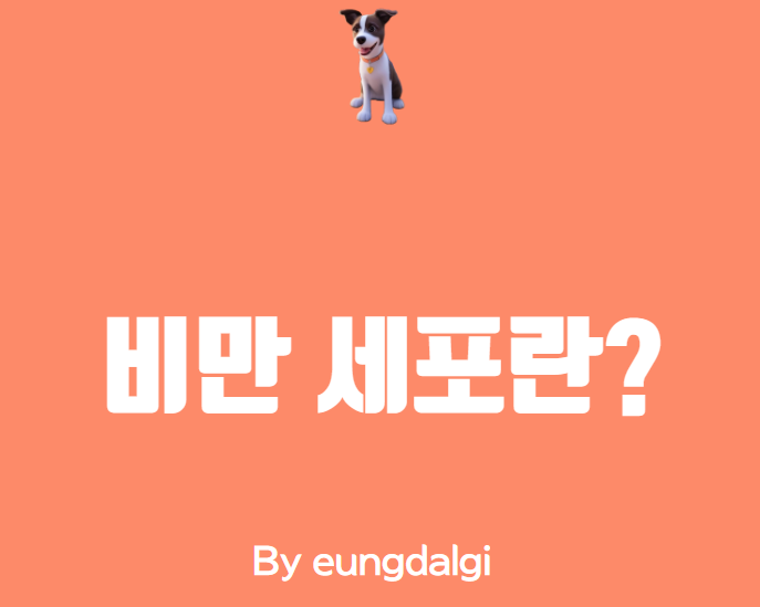  비만 세포란?