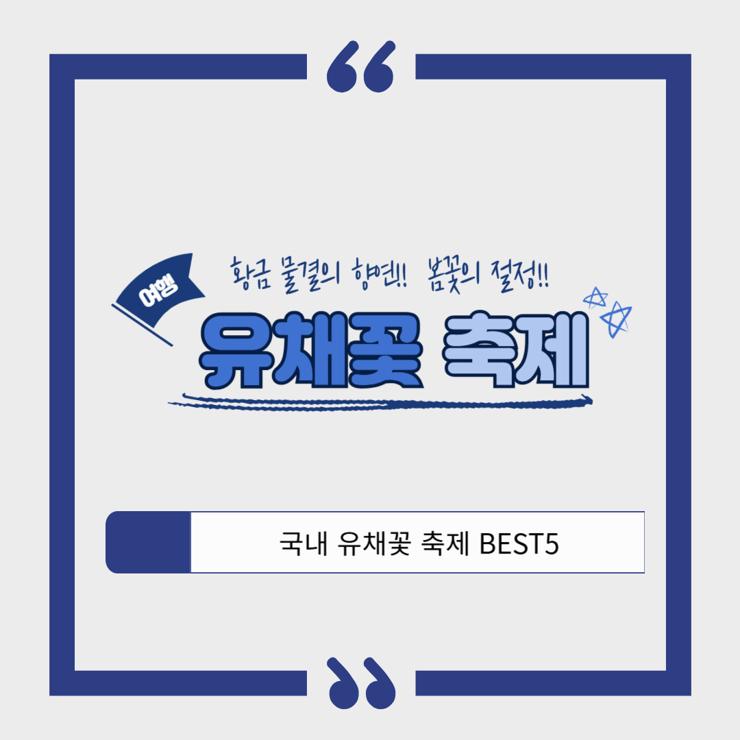 봄꽃의 절정! 전국 유채꽃 축제 일정, 명소, 인생샷 명당 추천