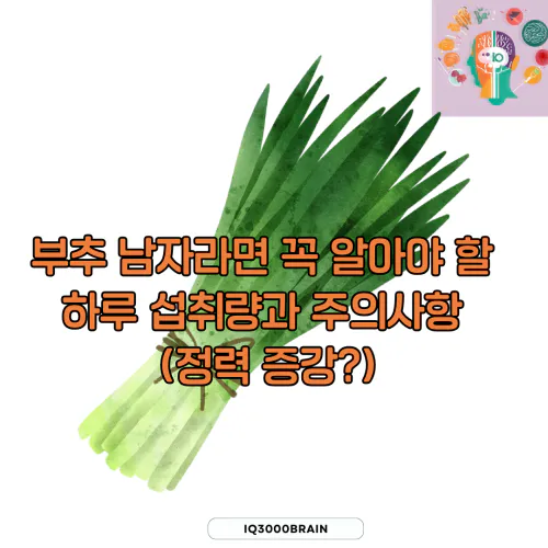 부추 남자라면 알아야 할 섭취량