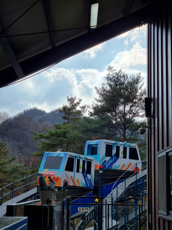 단양