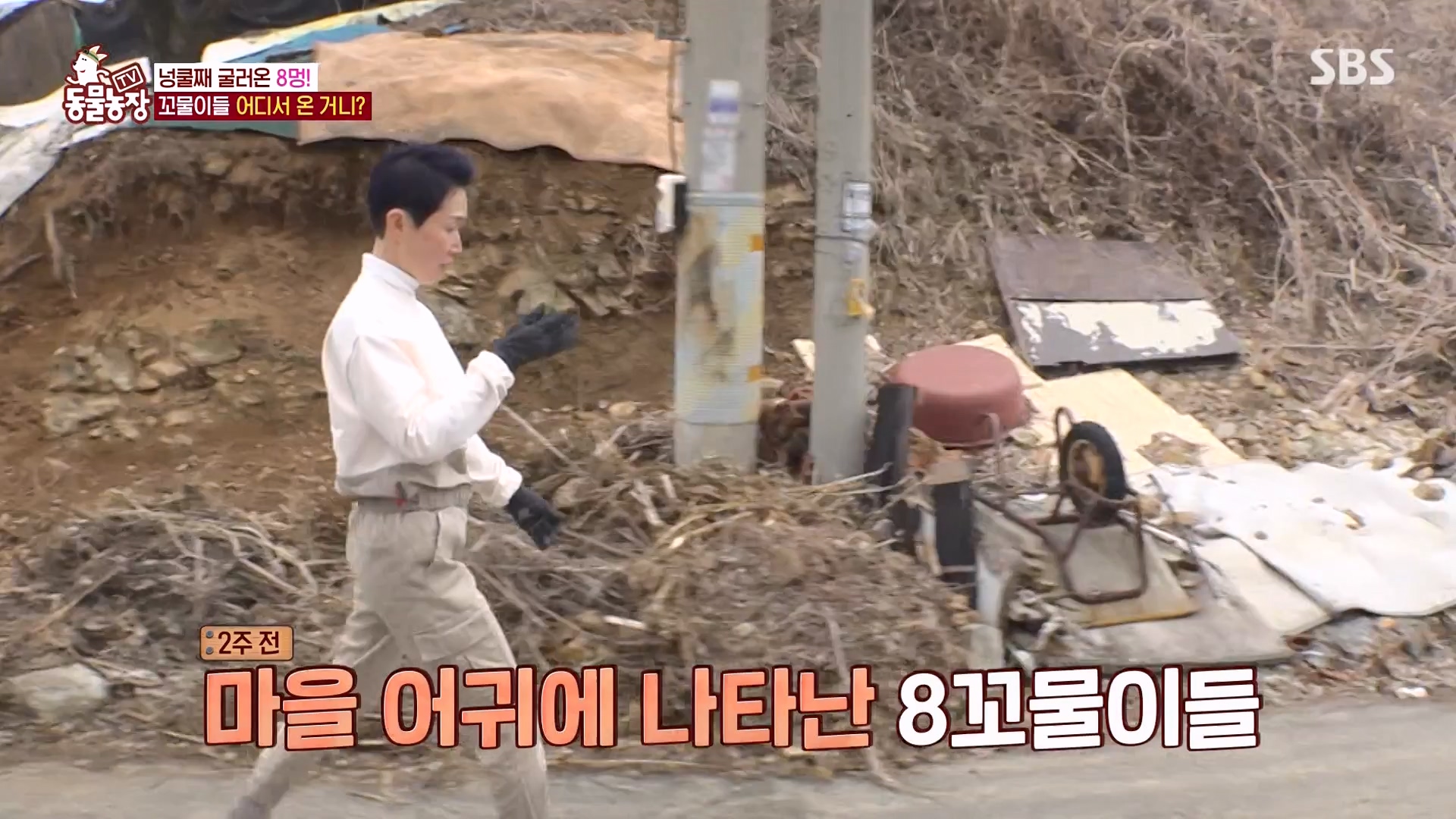 TV 동물농장.E1164.240324p-NEXT.mp4_20240324_172333.740.jpg